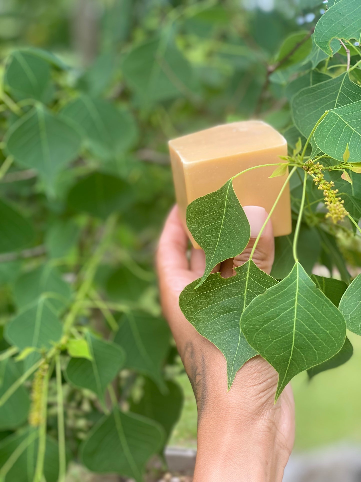 Papaya Glow Bar