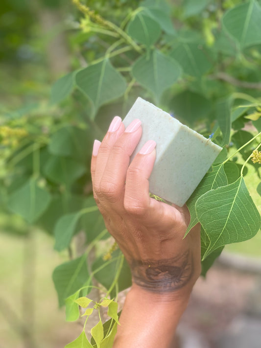 Aloe Vera Hydrating Bar