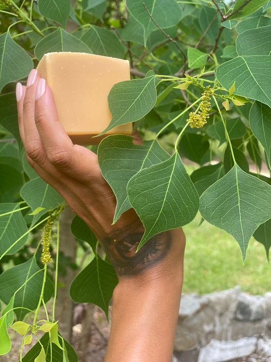 Papaya Glow Bar